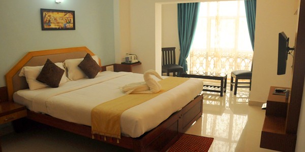Deluxe Non-AC Double Bed Room